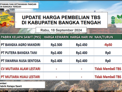 Update Harga Tandan Buah Segar (TBS) 18 September 2024
