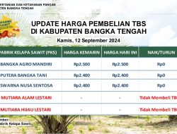 Update Harga Tandan Buah Segar (TBS) 12 September 2024