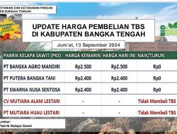 Update Harga Tandan Buah Segar (TBS) 13 September 2024