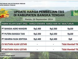 Update Harga Tandan Buah Segar (TBS) 26 September 2024
