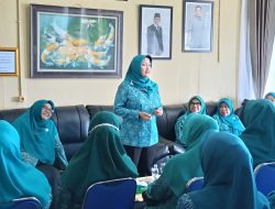 Dya Sugito Turun Langsung Sosialisasikan Program 6 SPM Posyandu