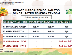 Update Harga Tandan Buah Segar (TBS) 08 Oktober 2024