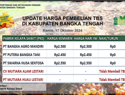 Update Harga Tandan Buah Segar (TBS) 17 Oktober 2024