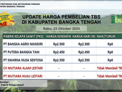 Update Harga Tandan Buah Segar (TBS) 23 Oktober 2024
