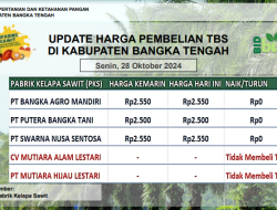 Update Harga Tandan Buah Segar (TBS) 28 Oktober 2024