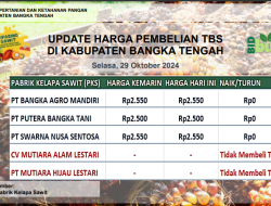 Update Harga Tandan Buah Segar (TBS) 29 Oktober 2024