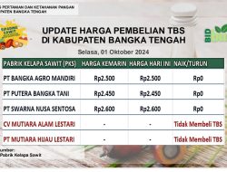Update Harga Tandan Buah Segar (TBS) 01 Oktober 2024