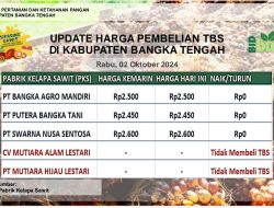 Update Harga Tandan Buah Segar (TBS) 02 Oktober 2024