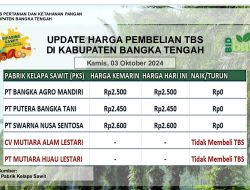 Update Harga Tandan Buah Segar (TBS) 03 Oktober 2024
