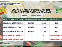 Update Harga Tandan Buah Segar (TBS) 11 Oktober 2024