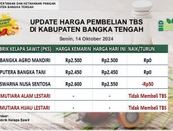 Update Harga Tandan Buah Segar (TBS) 14 Oktober 2024