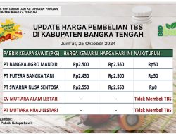 Update Harga Tandan Buah Segar (TBS) 25 Oktober 2024
