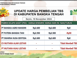 Update Harga Tandan Buah Segar (TBS) 18 November 2024