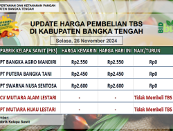 Update Harga Tandan Buah Segar (TBS) 26 November 2024