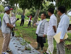 BI Turun Langsung Survei ke Kebun PKK Cikar