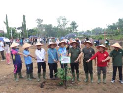 Lahan 2,1 Hektare Pemprov Kep. Babel Ditanami Buah Lokal