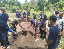 Prospek Tanam Bawang Merah di Beltim Menjanjikan