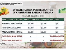 Update Harga Tandan Buah Segar (TBS) 25 November 2024