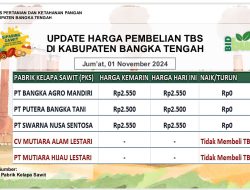 Update Harga Tandan Buah Segar (TBS) 01 November 2024