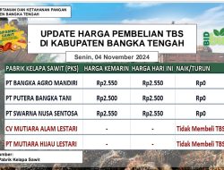 Update Harga Tandan Buah Segar (TBS) 04 November 2024