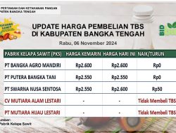 Update Harga Tandan Buah Segar (TBS) 06 November 2024
