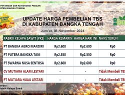 Update Harga Tandan Buah Segar (TBS) 08 November 2024