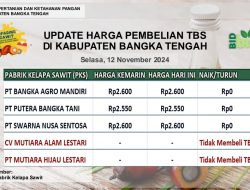 Update Harga Tandan Buah Segar (TBS) 12 November 2024