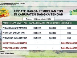 Update Harga Tandan Buah Segar (TBS) 13 November 2024