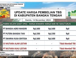 Update Harga Tandan Buah Segar (TBS) 14 November 2024