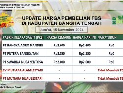 Update Harga Tandan Buah Segar (TBS) 15 November 2024