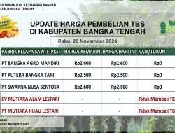 Update Harga Tandan Buah Segar (TBS) 20 November 2024