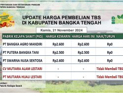 Update Harga Tandan Buah Segar (TBS) 21 November 2024