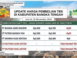 Update Harga Tandan Buah Segar (TBS) 22 November 2024