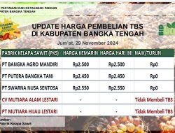 Update Harga Tandan Buah Segar (TBS) 29 November 2024