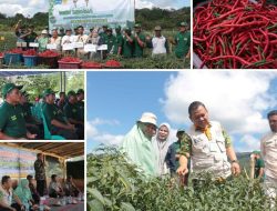 Panen 2,4 Ton Cabai Merah, Gapoktan di Bateng Tuai Manfaat dari Teknologi Proliga