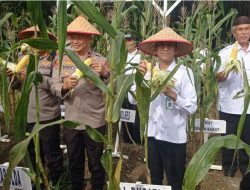 Bulan Puasa Kian Menghitung Hari, Kecukupan Pangan Masyarakat Harus Dipastikan