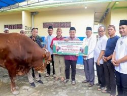 Penyerahan Sapi Kurban dari Presiden RI Masjid ke Al Muhajirin Desa Air Ruai, Kecamatan Pemali, Sabtu (07/06/25)