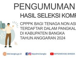 Pengumuman Hasil PPPK TA 2024 Kabupaten Bangka