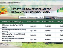 Update Harga Tandan Buah Segar (TBS) 12 September 2025