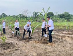 200 Bibit Kelapa ditanam di Lahan SAE Lapas Tanjungpandan