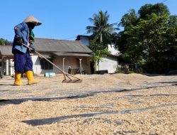 Gubernur Hidayat Bawa Kabar Bahagia, Pastikan Bulog Kembali Buka Pembelian GKP Petani Rias