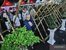 Pemkab Bangka Barat gencarkan promosi untuk tarik wisatawan