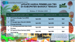 Update Harga Tandan Buah Segar (TBS) 07 Oktober 2025