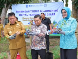 Gubernur Hidayat Arsani Launching Inovasi Digital Farming di Kebun Cikar PKK Babel
