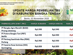 Update Harga Tandan Buah Segar (TBS) 03 November 2025