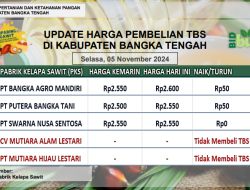 Update Harga Tandan Buah Segar (TBS) 05 November 2025