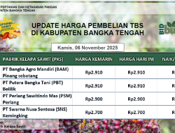 Update Harga Tandan Buah Segar (TBS) 06 November 2025