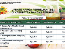 Update Harga Tandan Buah Segar (TBS) 12 November 2025
