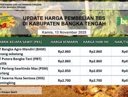 Update Harga Tandan Buah Segar (TBS) 13 November 2025