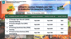 Update Harga Tandan Buah Segar (TBS) 19 November 2025